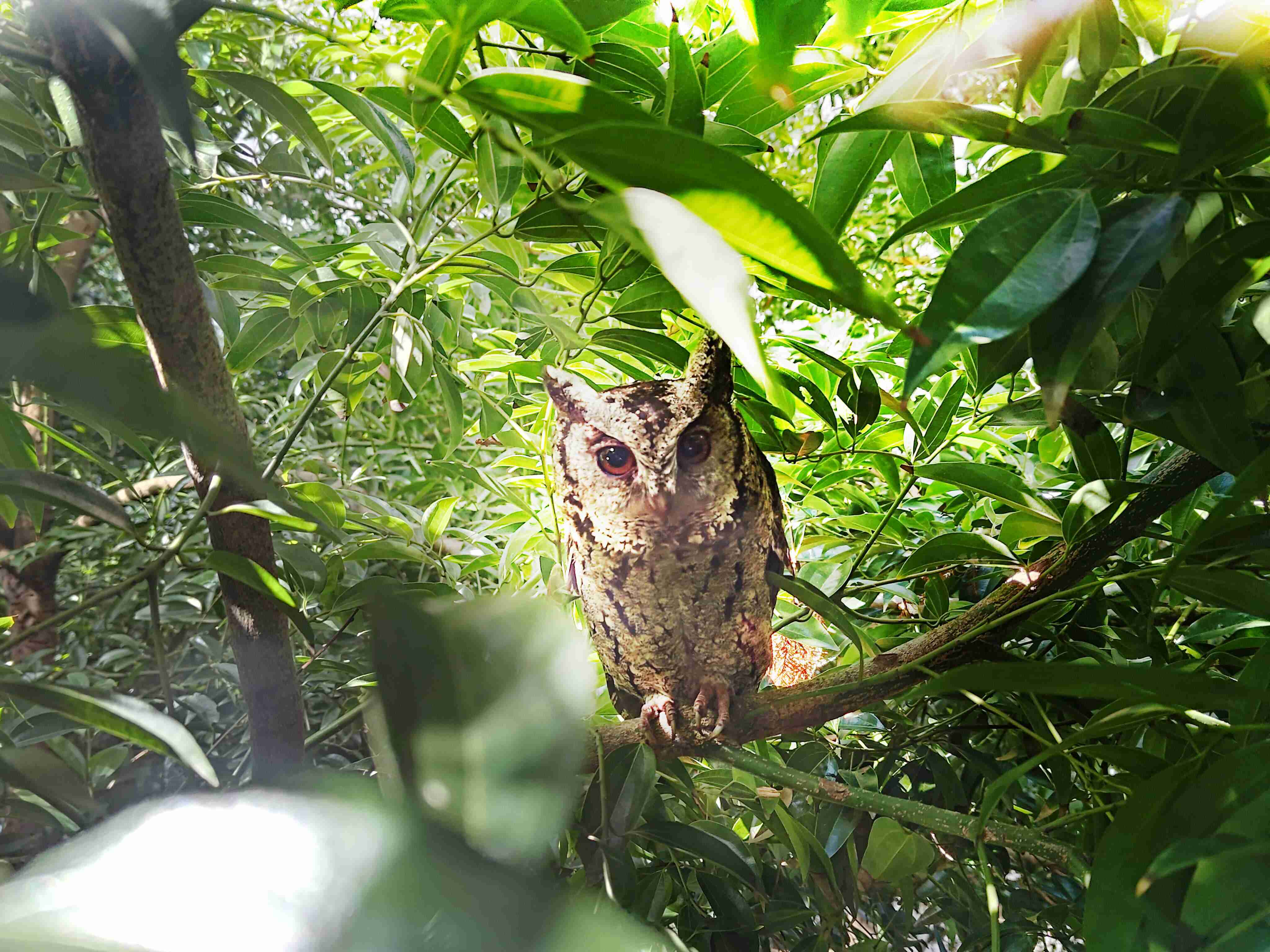 2121非凡致力提倡净零绿生活，，16年以来在全球各厂区植树逾百万棵，，，造就各厂区树木蔚然成林，，，犹如森林工厂，，，成为许多生物的栖息地